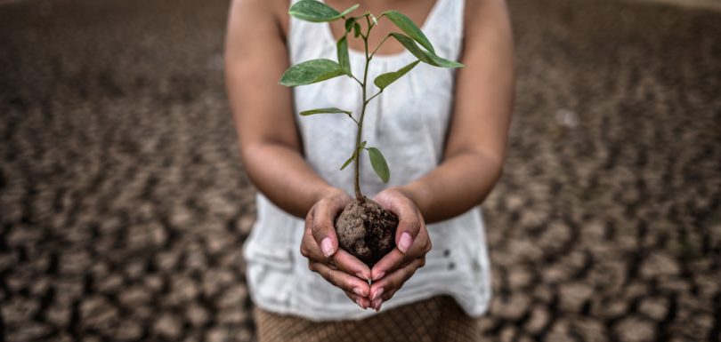 Earth Day: Join the Movement for Environmental Change