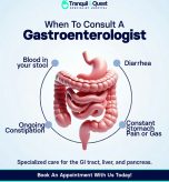 When to Consult a Gastroenterologist